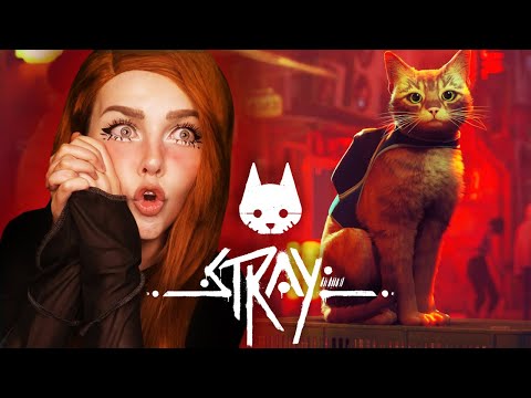 Видео: Рыжик котик в киберпанке│STRAY│ 2022【#1】