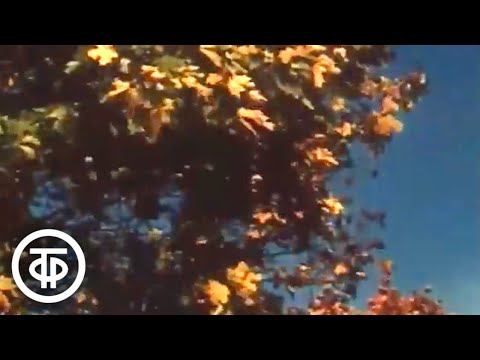 Видео: Из романса "Отговорила роща золотая…". Поет Татьяна Доронина (1975)