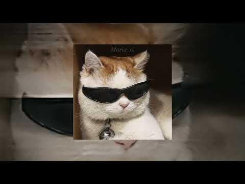 Видео: По барам •{speed up}•