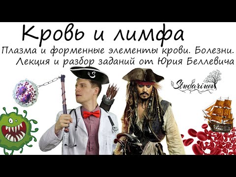 Видео: Кровь и лимфа. Эритроциты, лейкоциты, тромбоциты. Болезни. Лекция, разбор заданий от Юрия Беллевича