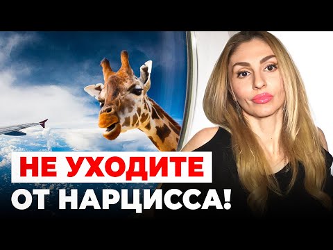 Видео: 🔺НЕ уходите от Нарцисса!🔻