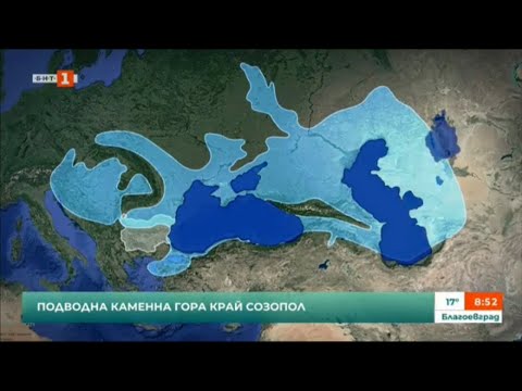 Видео: Край Созопол се намира единствената подводна каменна гора на нашата планета.