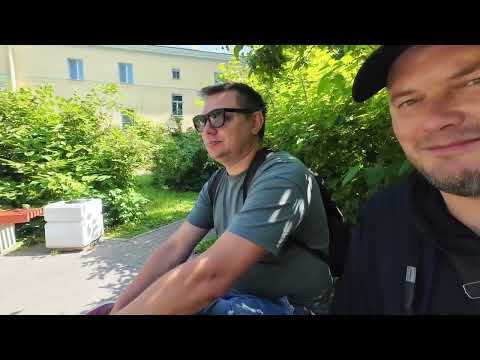 Видео: Петергоф (1)