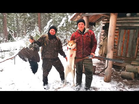 Видео: ПРОВЕРКА ТАЁЖНЫХ СНАСТЕЙ НА СОБОЛЯ. ЖАРИМ ДРАНИКИ В ЗИМОВЬЕ. ОТДЫХ ПО-СИБИРСКИ.