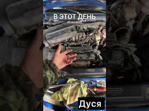 Видео: #дусяшым 