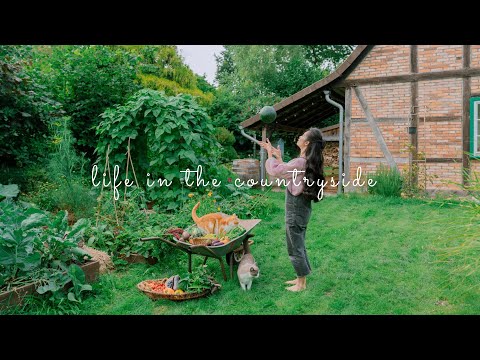 Видео: #184 Приготовление, хранение и консервирование овощей