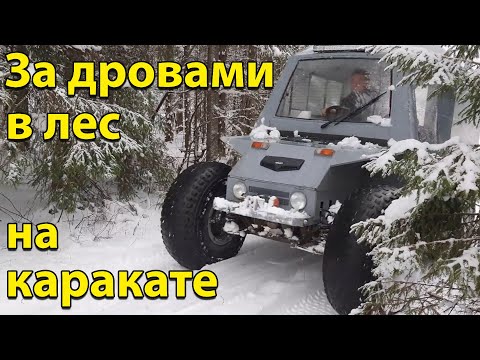 Видео: За дровами в лес, с братом на каракате. Зимний лес. Каракат с двигателем от оки.