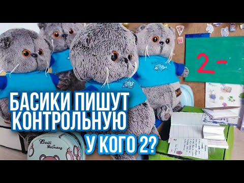 Видео: Басики пишут контрольную! БУСИК ПОЛУЧИЛ 2?