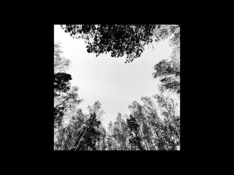 Видео: passmurny - Последний танец (slowed + reverb)