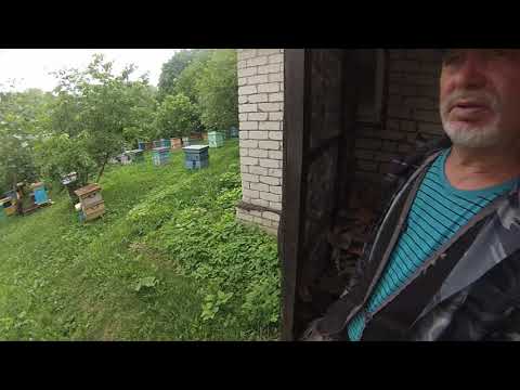 Видео: В гостях у дяди Жени