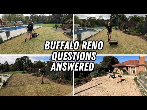 Видео: ПОЛНОЕ ОБНОВЛЕНИЕ ГАЗОНА БУФФАЛО // скальпирование, скарификация?? аэрация, посыпка песком