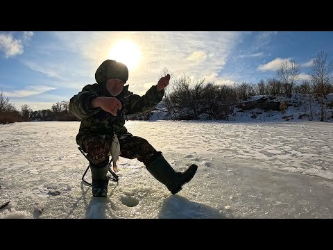 Видео: Рыбалка на речке 17 февраля 2024