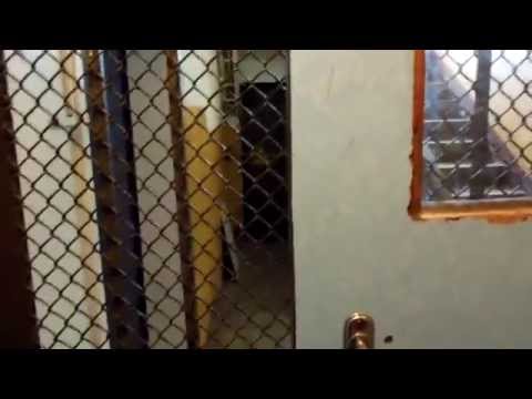 Видео: Лифт ЭМИЗ в доме 2, Петровско-Разумовская аллея. 2014 год