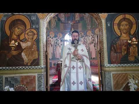 Видео: 2022 05 22 Недеља Самарјанке - О. Јоаким