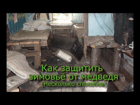 Видео: Как защитить зимовье от медведя Несколько способов