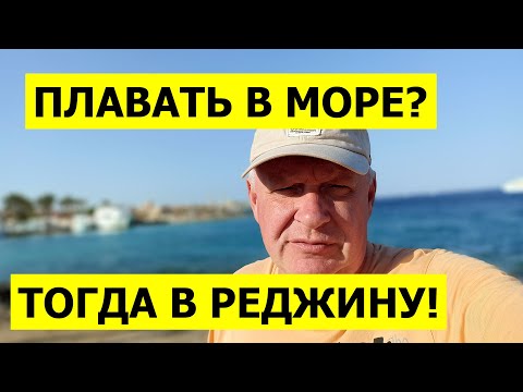 Видео: REGINA | Что больше: пляж 🏖 или волейбол 🏐 | Хургада