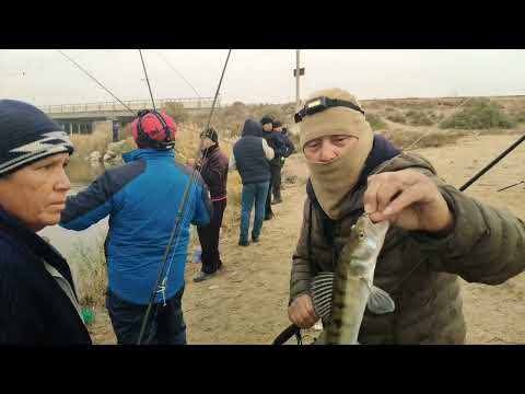 Видео: Арнасай. Золотой мост. 13.11.2022г. Судак.
