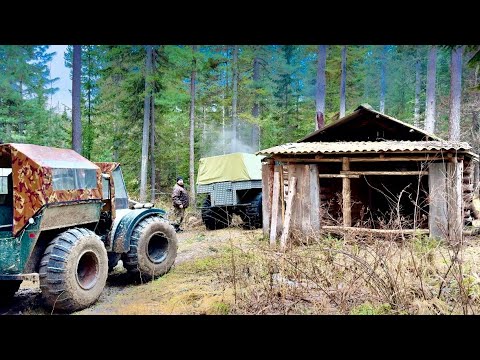 Видео: СИБИРЬ.ПРОМЫСЛОВЫЕ БУДНИ В ТАЙГЕ. ПЕРВАЯ ПРОВЕРКА ПУТИКОВ В ЭТОМ СЕЗОНЕ.