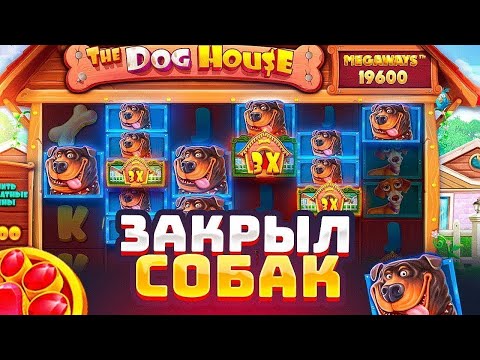 Видео: СЛОВИЛ ДВА БОНУСА ПО 7200Р В СЛОТЕ THE DOG HOUSE MEGAWAYS | СЛОВИЛ ЗАНОС | ЗАНОСЫ НЕДЕЛИ