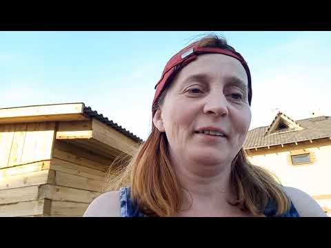 Видео: Продам дойную козу породы ламанча.