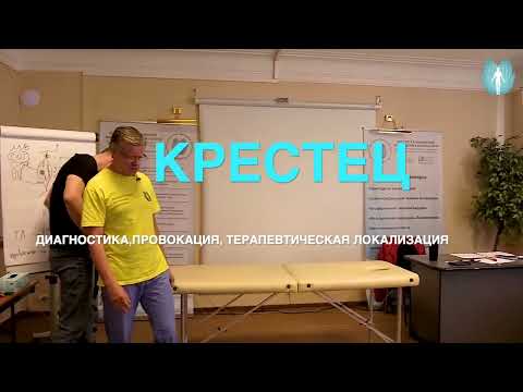 Видео: КРЕСТЕЦ ДИАГНОСТИКА, ПРОВОКАЦИЯ, ТЕРАПЕВТИЧЕСКАЯ ЛОКАЛИЗАЦИЯ ПРИКЛАДНАЯ КИНЕЗИОЛОГИЯ