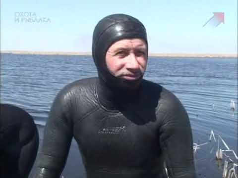 Видео: Подводная охота (А.Кочубей): Весенняя разведка в ''Лазури''.