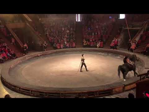 Видео: Кыргызский цирк 2021: «Красавица и чудовище». Джигитовка. Номер на лошадях.