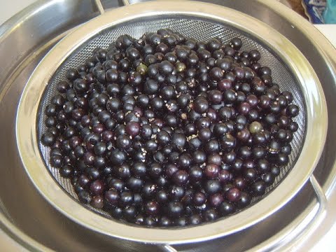 Видео: Варенье из паслёна. Маринкины творинки. Всем МИРА и Добра!