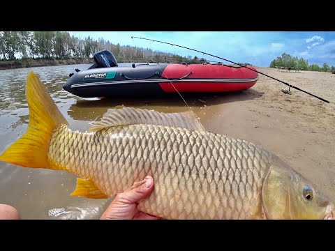 Видео: ВОТ ЭТО РАЗДАЧА!!! Рыбалка с НОЧЕВКОЙ. Ловля сазана.