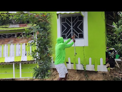 Видео: Готов к шторму, связывая все: беседку, домик на дереве и мой дом 🏡