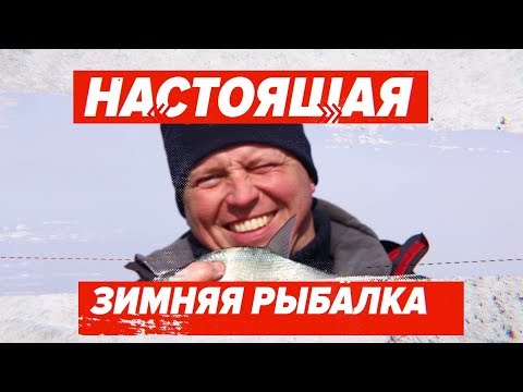 Видео: Для души. НАСТОЯЩАЯ зимняя рыбалка.