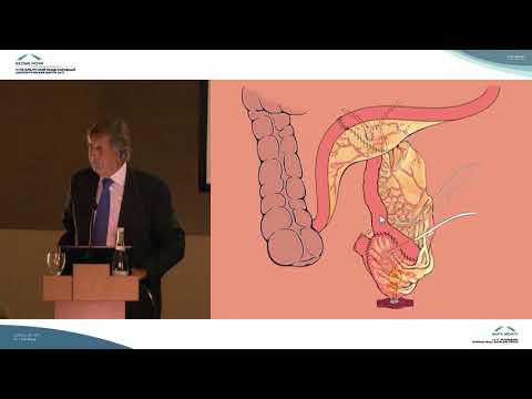 Видео: Как работает ортотопический мочевой пузырь