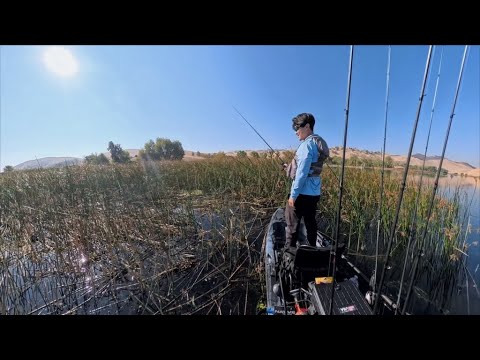 Видео: Рыбалка с новой технологией
