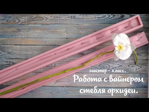 Видео: М.К Работа с вайнером стебля орхидеи.