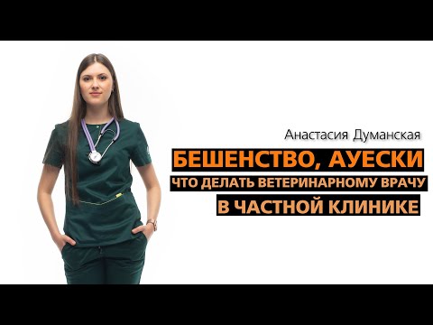 Видео: Бешенство, Ауески. Что делать ветеринарному врачу в частной клинике