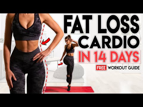 Видео: Полная потеря веса всего тела за 14 дней! Бесплатное руководство по домашней тренировке