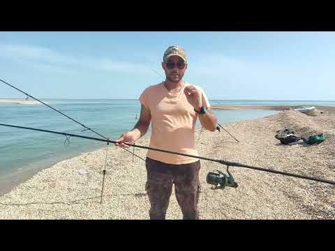 Видео: 🎣В поисках Пиленгаса с гостем из Тулы.🔥 Отличный отдых и рыбалка🎣 #пеленгас #рыбалка #море #fishing