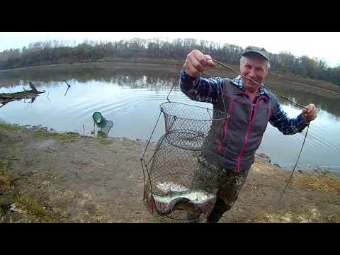 Видео: Рыбалка в октябре на Леща с 5.10.2023 на 6.10.2023 КОРОТКО