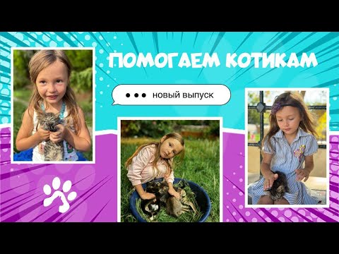 Видео: Настя помогает котикам (2 часть)