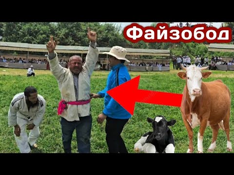 Видео: Ҳочи Марожник Ҳарифи Худша Батахтапушт Зад Гуштини Файзобод