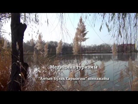 Видео: Алтын Бұлақ-Сарыағаш. Медицина туризмы.