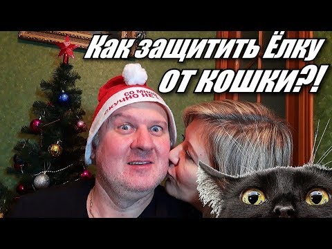 Видео: КАК ЗАЩИТИТЬ ЁЛКУ ОТ КОШКИ / НОВОГОДНИЙ СТОЛ 2020