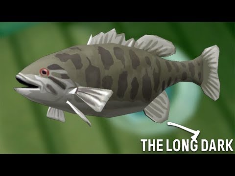 Видео: НОЧНАЯ РЫБАЛКА ► The Long Dark - Story Mode #11