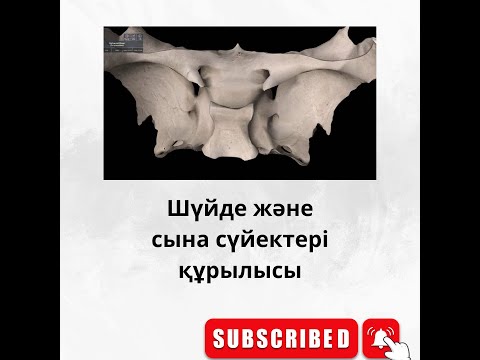 Видео: Шүйде және сына сүйектері
