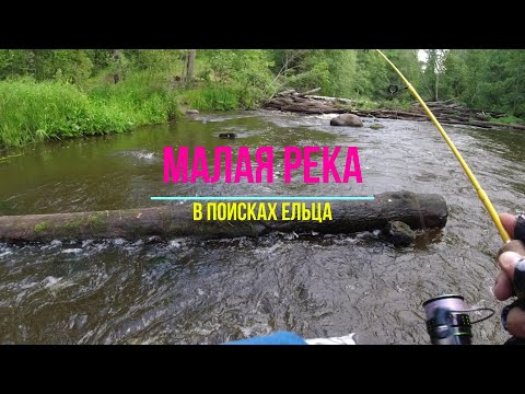 Видео: #438 #мормышинг| Малая река | Лещ, щука, окунь, плотва, елец |