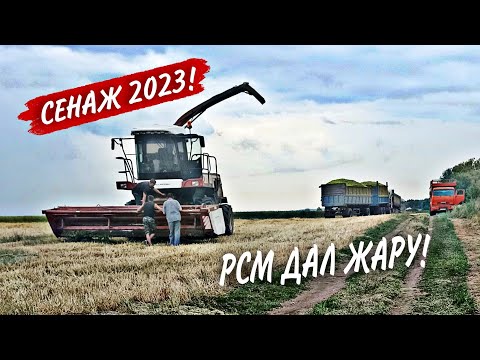 Видео: ДОН-680 и РСМ 1401 на уборке сенажа 2023❗