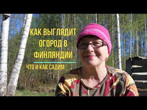 Видео: Это редко можно встретить в Финляндии. Как выглядит городской финский огород.Что и как садим весной
