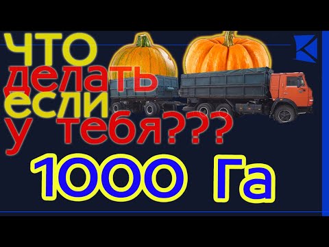 Видео: Что делать, если у тебя 1000 Га тыквы? I Приемка и мойка тыквенной семечки на оборудовании АО "КЭМЗ"