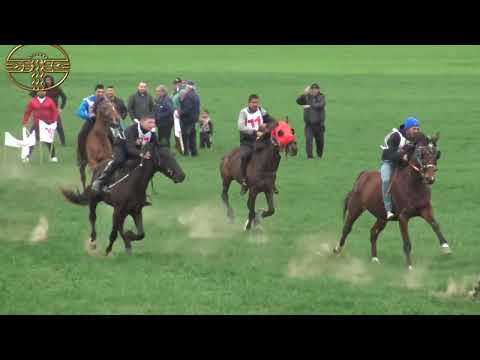 Видео: ПРАЗНИК НА КОНЯ И КОННИЯ СПОРТ В ТЕНЕВО