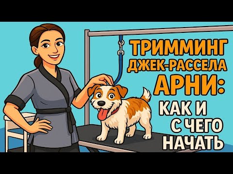 Видео: Джек-рассел Арни на тримминге. #тримминг #джекрассел #груминг #уходзашерстью #собака #тримминг